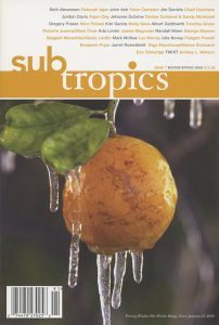 Subtropics Issue 7 Cover